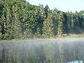 2005_0903_065903AA.jpg