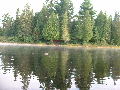 2005_0903_071300AA.jpg