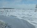 2003_0212_155721AA.jpg